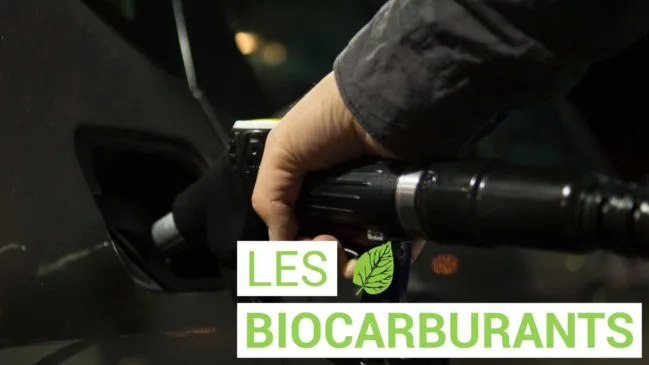 Le biocarburant, bonne idée ou pas ?