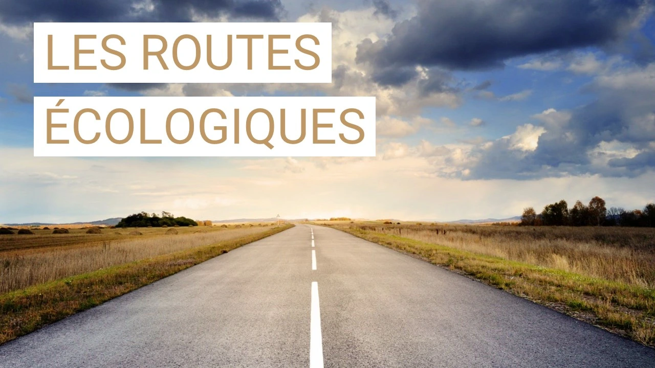 Les routes écologiques