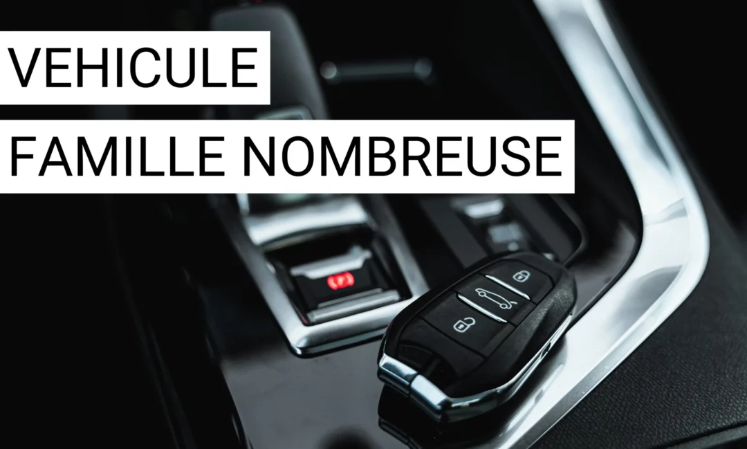 Comment choisir un véhicule pour une famille nombreuse ?