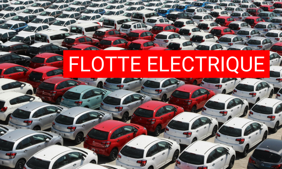 Gestion de flotte électrique, un choix stratégique rentable ?