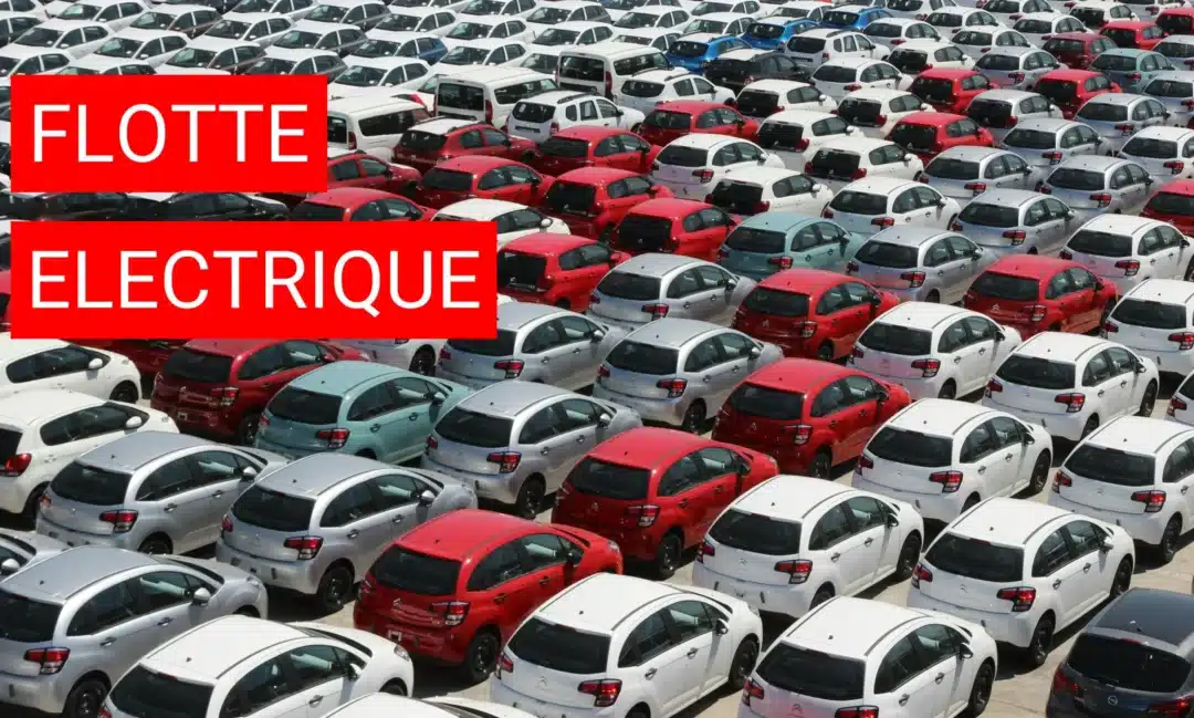 Gestion de flotte électrique, un choix stratégique rentable ?